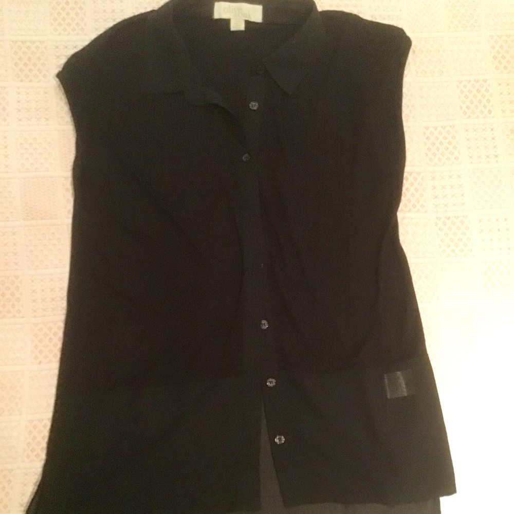 Black capped sleeved top with sheer lower inset.